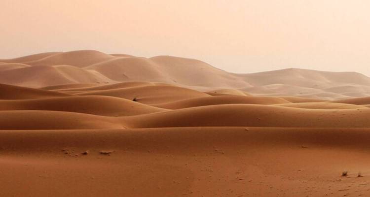Ruhige Sanddünen mit einem sanften rosa Himmel.
