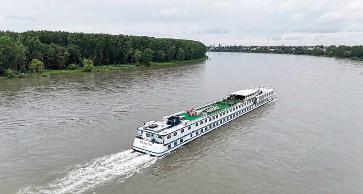 Cruise ship on a river with trees and a town in the distance.