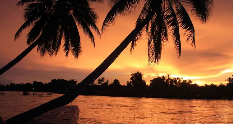 Silhouetted palm trees arch over a glowing orange river at sunset.