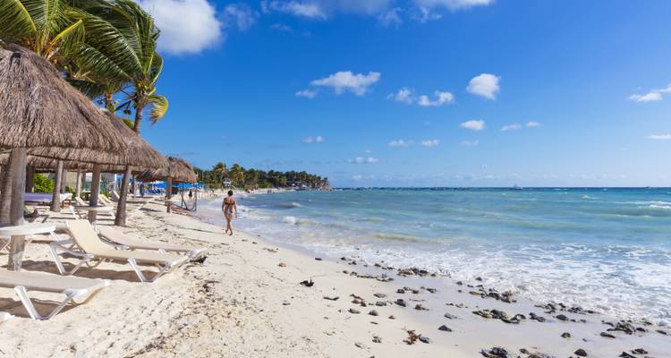 Strand mit Sonnenliegen und Palmen, eine Person, die am Ufer entlanggeht.