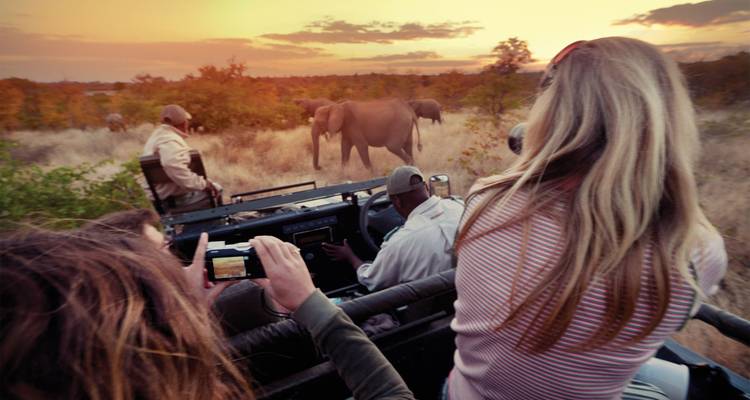 Los safari-aficionados fotografían un rebaño de elefantes desde un vehículo abierto bajo un cielo al atardecer lleno de colores.