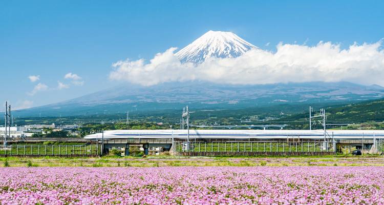 Uitzicht op een trein met Mount Fuji op de achtergrond.