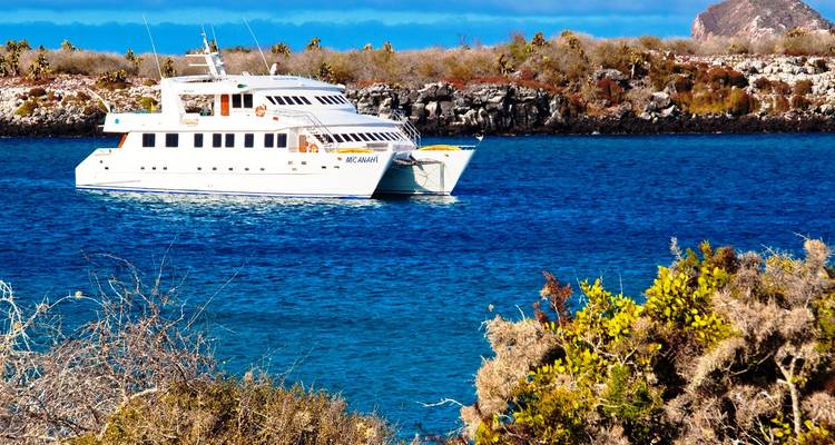Eine weiße Katamaran-Yacht liegt in ruhigen, leuchtend blauen Küstengewässern vor einer trockenen, mit Sträuchern bewachsenen Küstenlinie vor Anker.