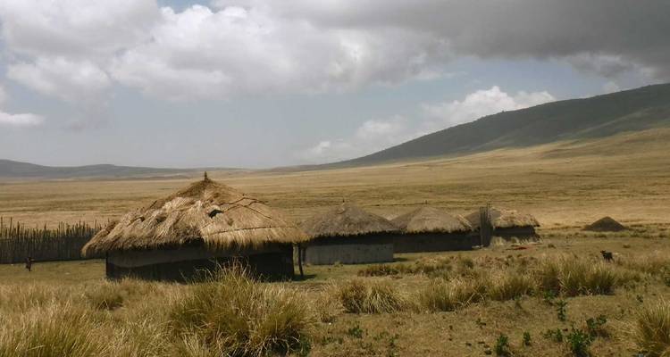 Traditionelle Hütten in einer weiten offenen Savannenlandschaft.