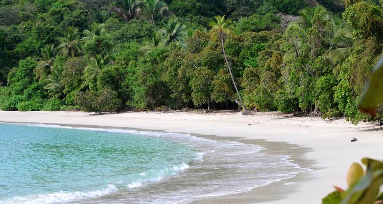 Playa de arena blanca impecable con olas color turquesa suave y un denso telón de fondo de bosque tropical.
