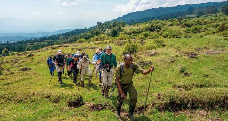 Gruppe von Wanderern, die durch einen üppigen grünen Pfad gehen.