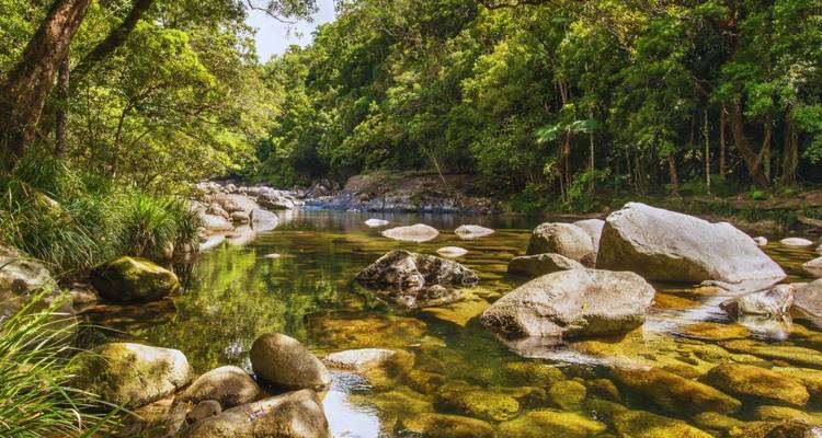 Rivière tranquille entourée de verdure luxuriante et de rochers.
