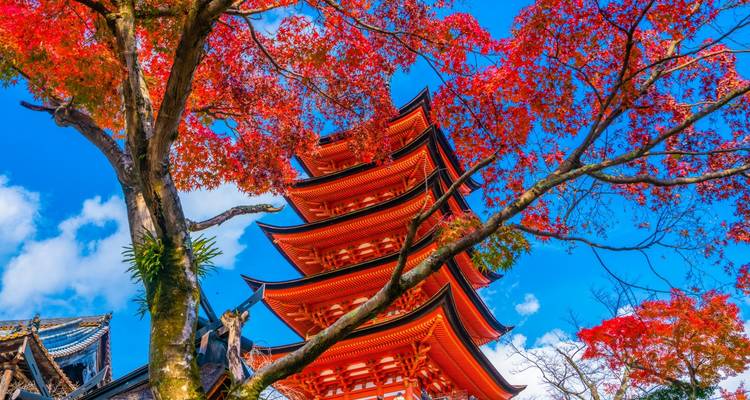 Eine fünfstöckige Pagode, die durch rotes Herbstlaub hindurch zu sehen ist.