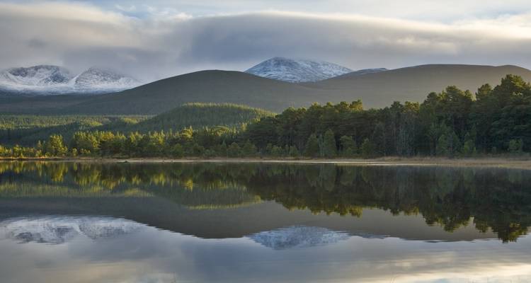 Lago reflectante con bosque y montañas de fondo.