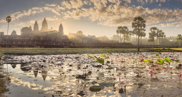 Lever de soleil doré derrière les temples d'Angkor Vat se reflétant dans un étang rempli de lotus avec des silhouettes brumeuses de palmiers.