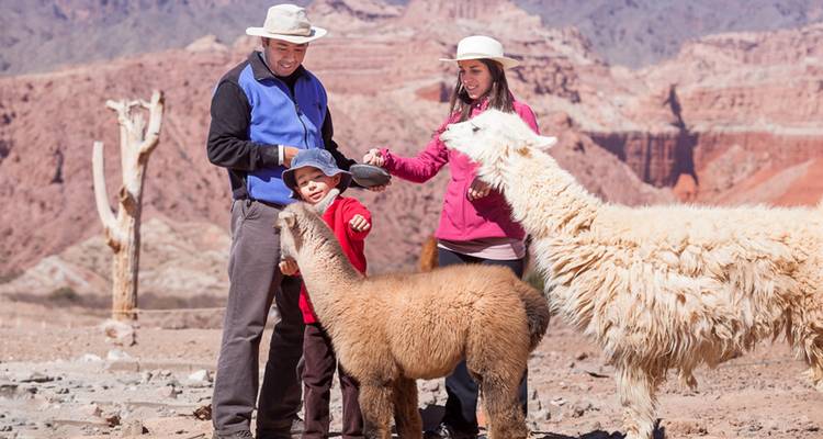 Een familie die interacteert met lama's in een woestijnlandschap.