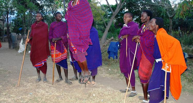 Traditionele Maasai-krijgers die een springdans uitvoeren