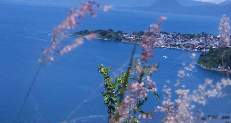 Blurred foreground of flowers with a view of a lake and village.