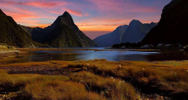 Sonnenuntergangsfarben über dramatischen Gipfeln und ruhigem Wasser am Milford Sound mit goldenen Gräsern im Vordergrund.