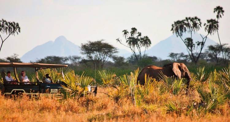 Véhicule de safari avec des personnes observant un éléphant au coucher du soleil.