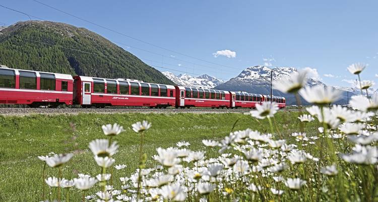 Trein in een weide met madeliefjes en bergen.
