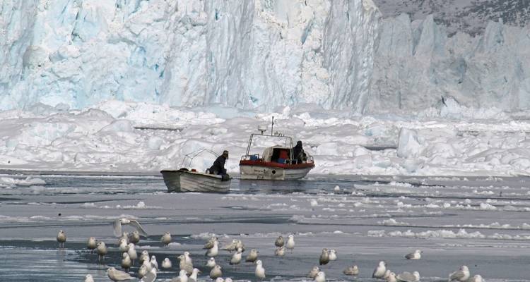 Boats navigating icy waters with birds in the foreground.
