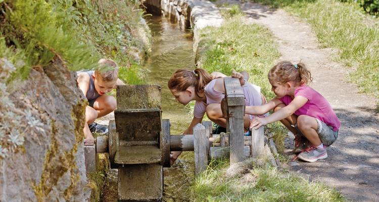 Children playing by a water wheel along a grassy path.