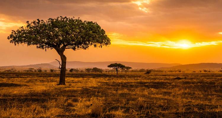 Sunset over a savannah landscape with scattered trees.