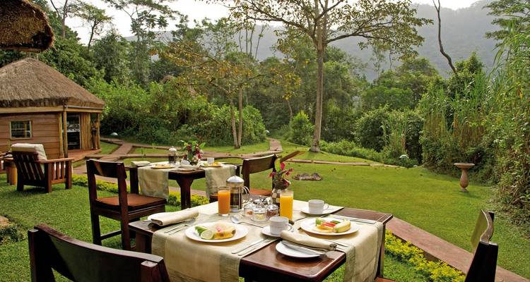 Outdoor-Essbereich in einer üppigen Waldkulisse eingerichtet.