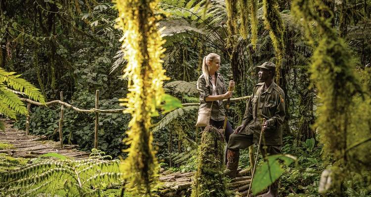 Person, die sich mit einem Führer auf einem Waldweg unterhält, umgeben von üppigem Grün.