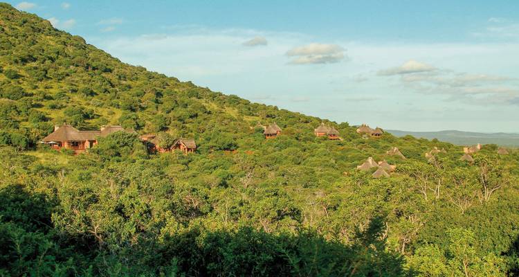 Vue panoramique d'un paysage verdoyant luxuriant avec des huttes éparses.