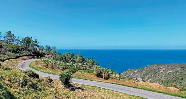 Hügelige Küstenlandschaft mit gewundener Straße und Meerblick.