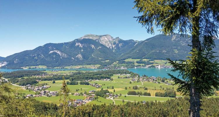 Vue panoramique d'une vallée luxuriante et d'un lac avec des montagnes.
