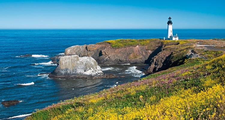 Lighthouse on a cliff overlooking the ocean with colorful wildflowers.