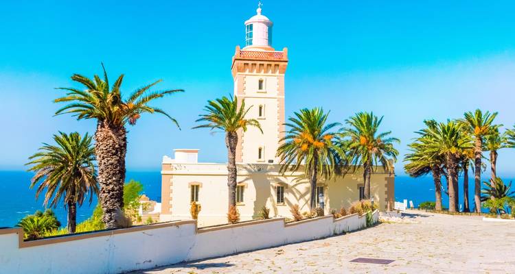 Küstenleuchtturm umgeben von Palmen.