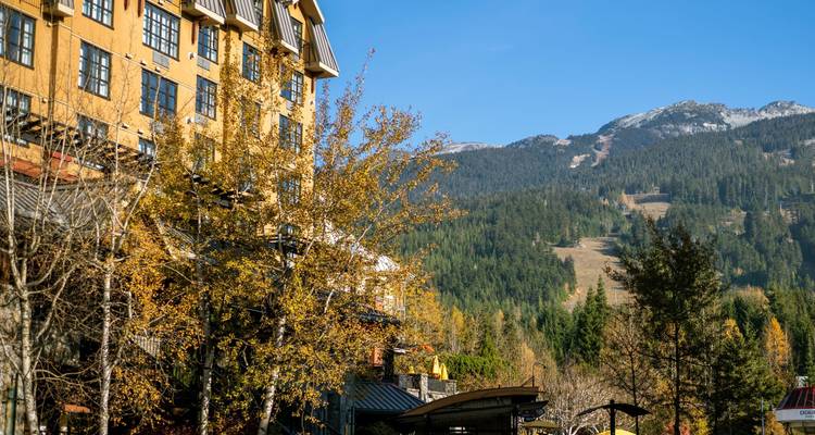 Bâtiments de villégiature à la base de montagnes boisées avec des ciels bleu clair