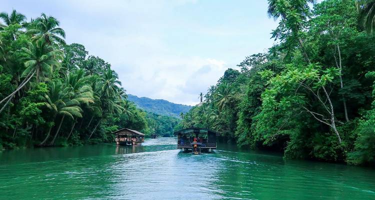 Cruceros en barco fluvial entre orillas densamente bordeadas de palmeras en un valle tropical