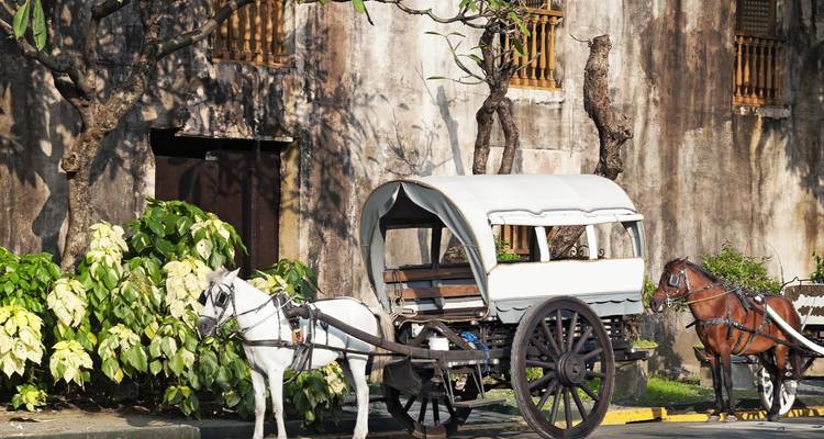 Carruaje blanco tirado por caballos estacionado al lado de un edificio antiguo de piedra con persianas de madera en el histórico Manila.