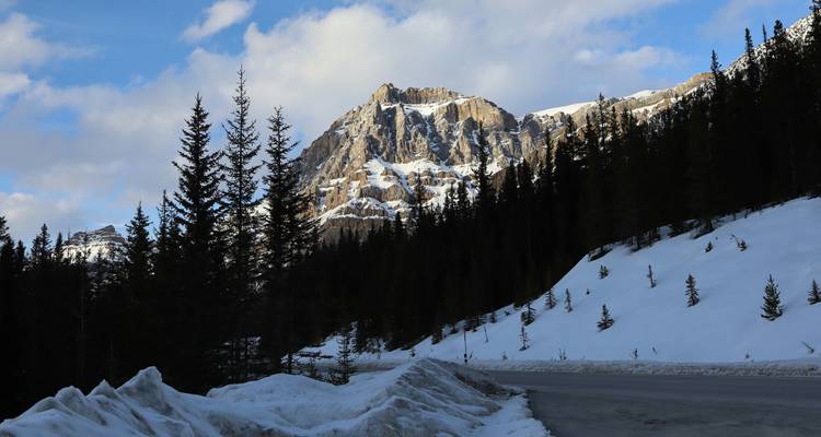 Camino de montaña cubierto de nieve serpentea a través del bosque de coníferas bajo un pico rocoso escarpado.