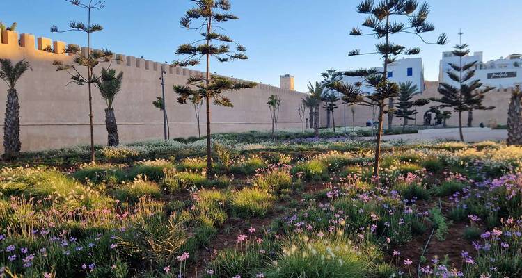 Garden located near a fortified wall with greenery.