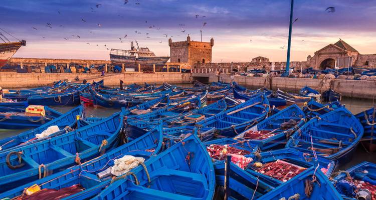 Harbor filled with blue fishing boats at sunset.