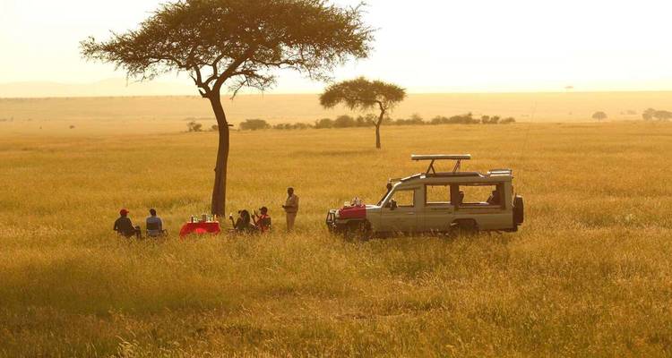 Groep die picknickt onder een boom met een safariwagen in de buurt.