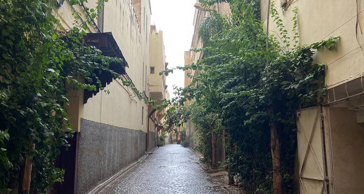 Schmale Straße gesäumt mit Pflanzen und alten Gebäuden.