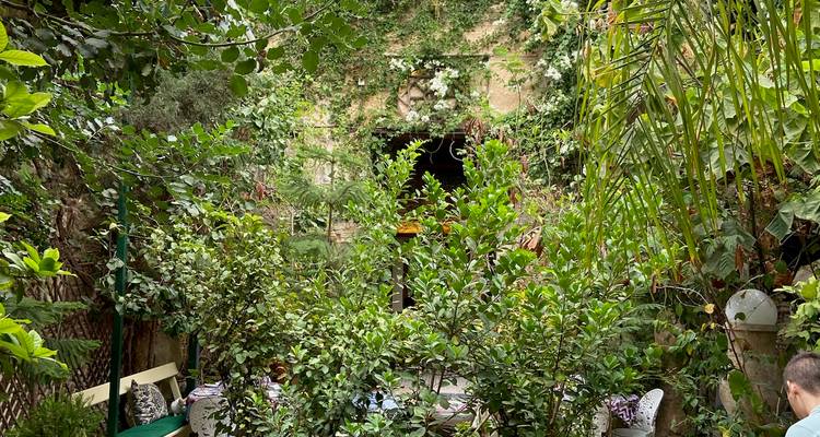 Üppiger Innenhofgarten mit Essbereich und Pflanzen.