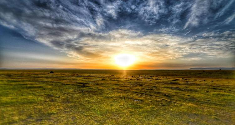 A dramatic sunset spreads golden light over an endless grassy savanna beneath textured clouds.
