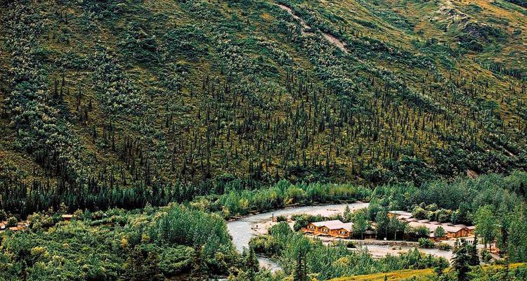 Luftaufnahme einer Lodge, die sich in einem bewaldeten Gebiet befindet.