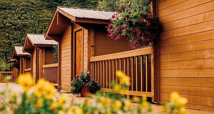 Blumengeschmückte Hüttenveranda in einem Wald.