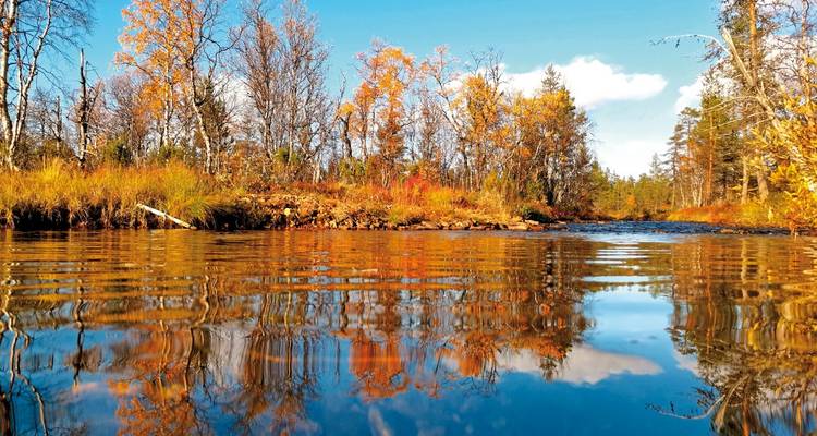 Autumn landscape with trees and reflections in a river.