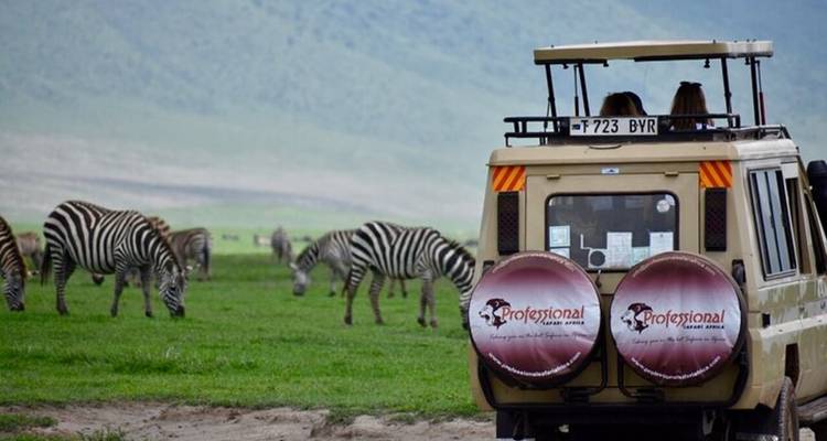A safari vehicle with people photographing zebras in the background.