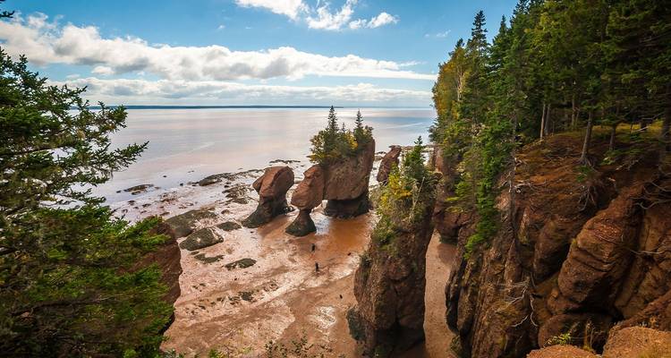 Imponentes formaciones rocosas de Hopewell Rocks rodeadas de bosque y planicies de marea lodosas con algunos visitantes abajo.