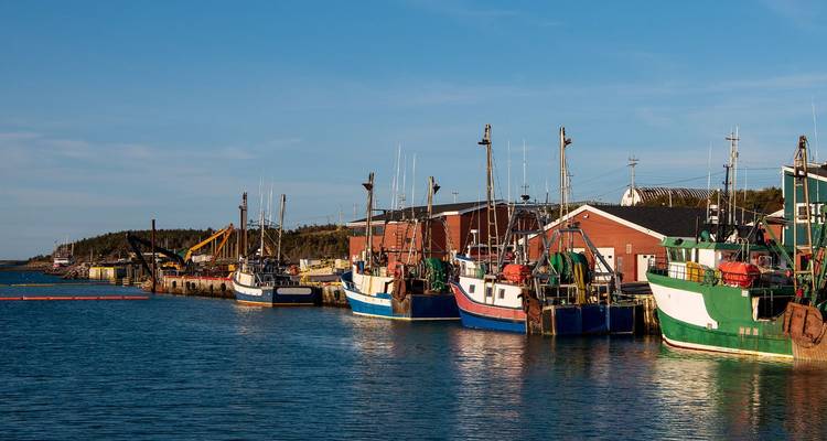 Colorful fishing boats moored along a quiet harbor under clear blue skies