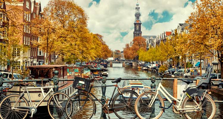 Des vélos stationnés sur un pont au-dessus d'un canal bordé d'arbres et de bateaux.