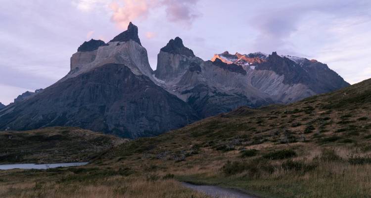 Das erste Licht wirft einen rosa Schimmer auf die Cuernos del Paine, die sich über sanfte Graslandschaften und einen ruhigen See erheben.