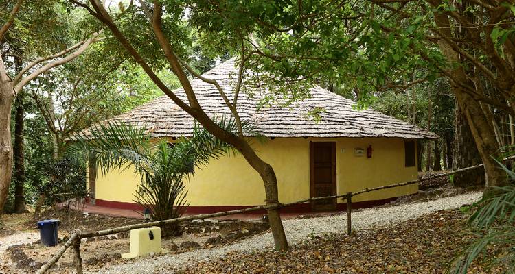Cabane jaune entourée d'arbres.