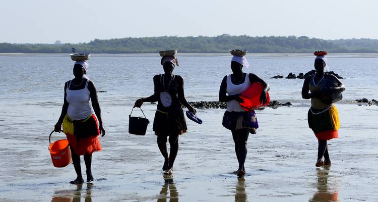 Quatre personnes marchant avec des paniers le long d'une zone côtière.